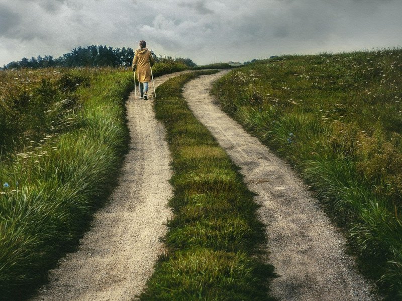 Naše životní cesta volá po tom, abychom ji milovali