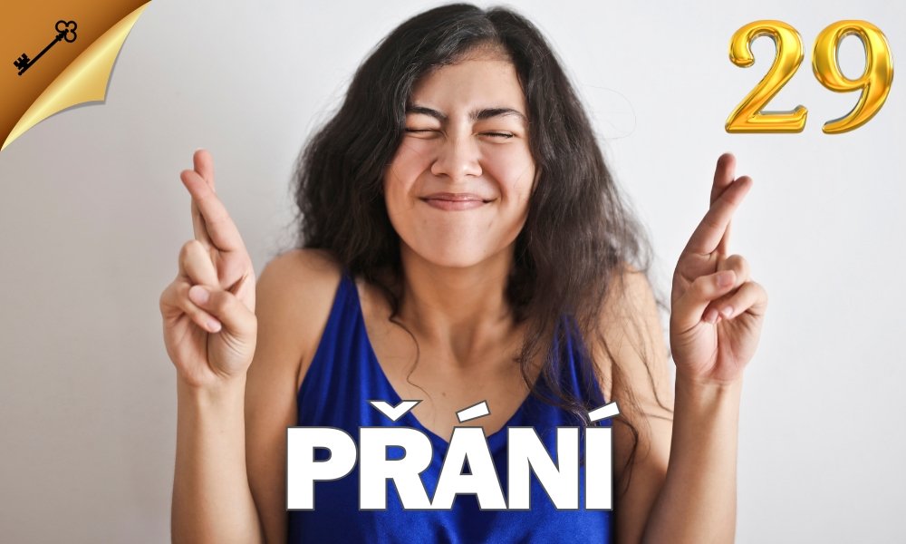 29-PRANI 29-PRANI