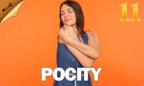 11-pocity 11-pocity