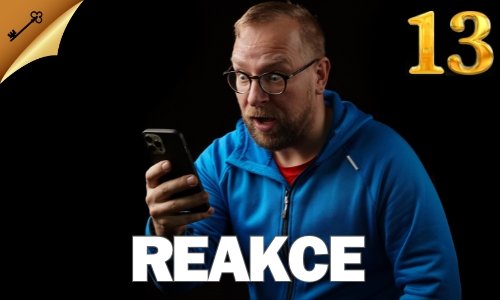 13-reakce 13-reakce